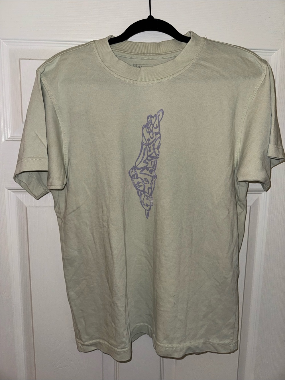 Men's Sage Short-Sleeve Graphic Tee - Brand Unspecified